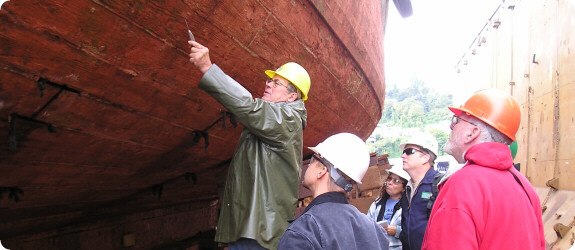 ASBESTOS MANAGEMENT Survey